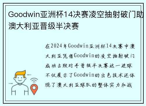 Goodwin亚洲杯14决赛凌空抽射破门助澳大利亚晋级半决赛
